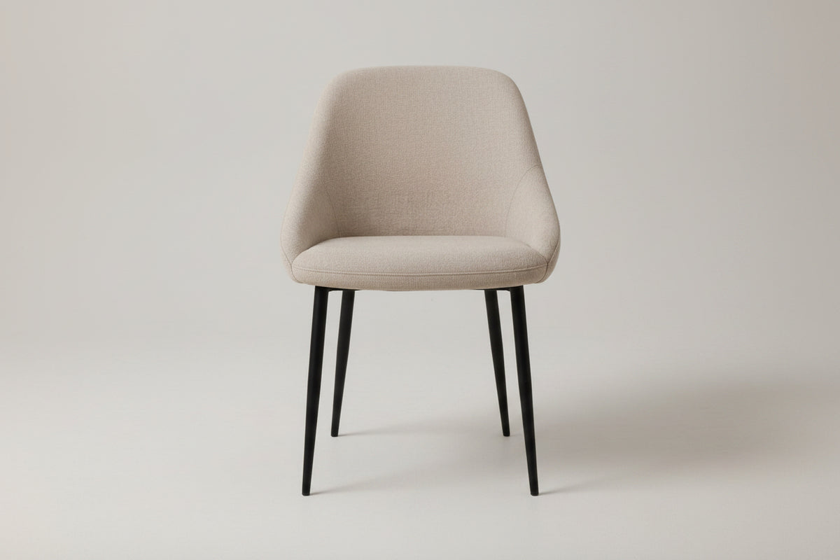 Modern Dining Chair